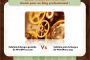 Quelle version de WordPress choisir pour un blog professionnel ?